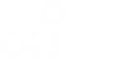 Norwegian Open AI Lab